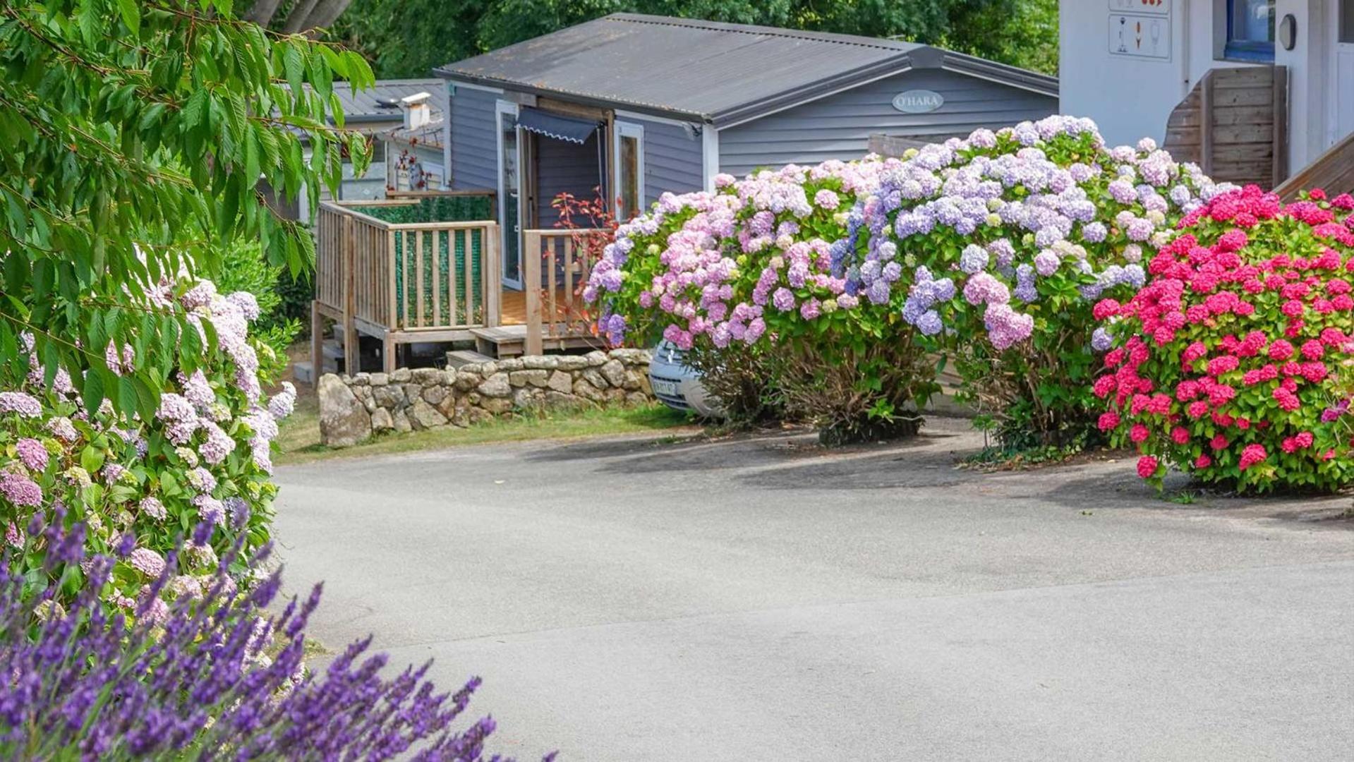 Camping Le Dolmen, Carnac, Morbihan ภายนอก รูปภาพ