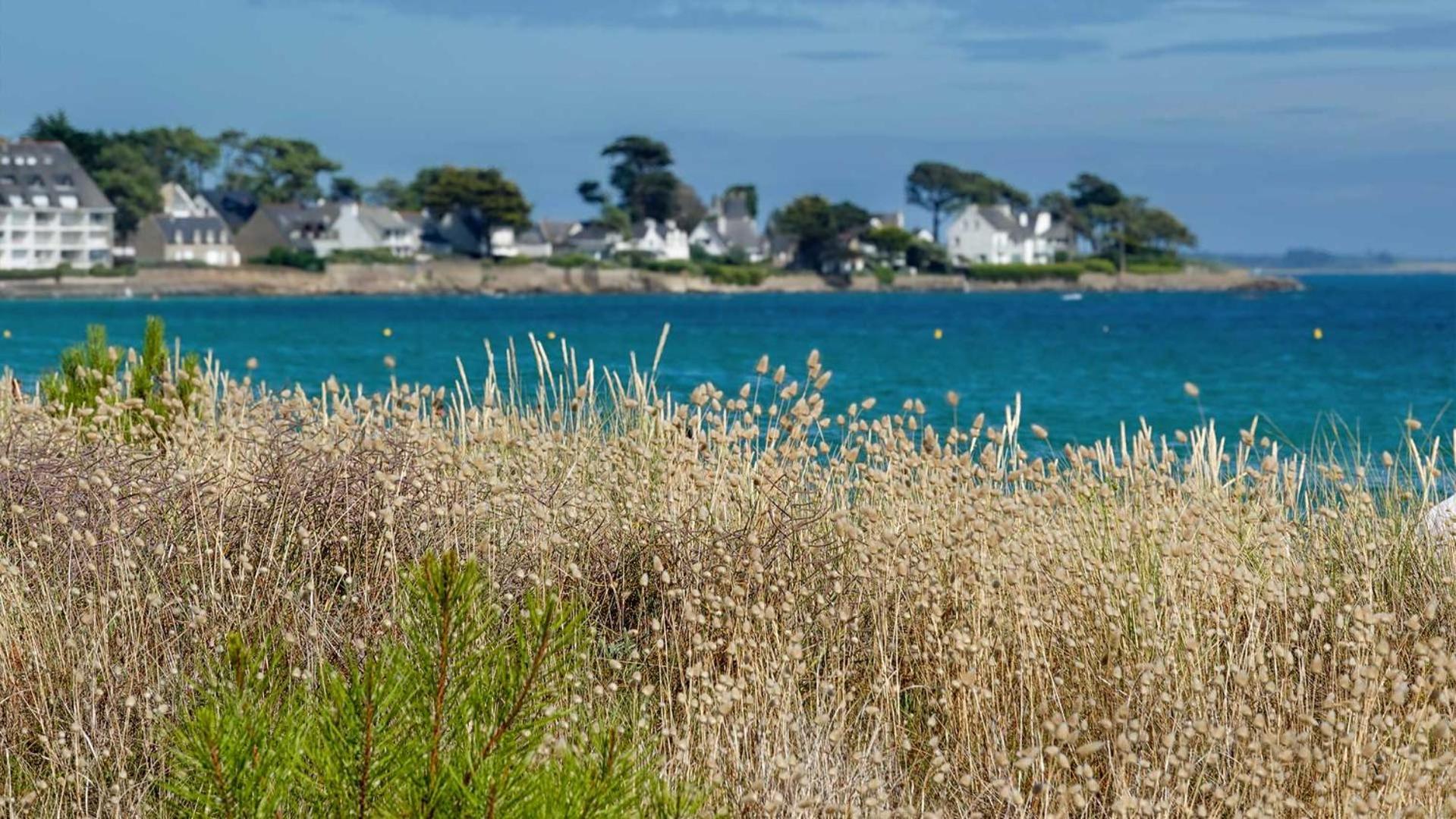 Camping Le Dolmen, Carnac, Morbihan ภายนอก รูปภาพ
